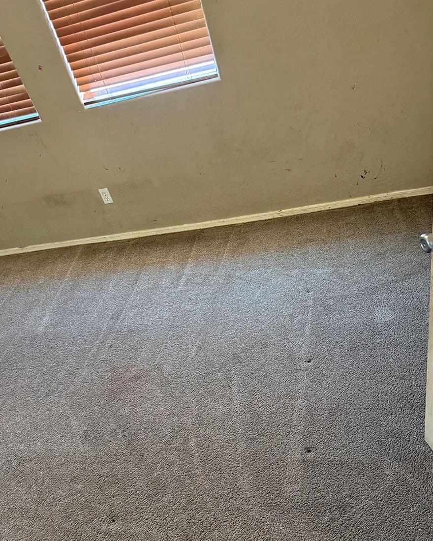 Bedroom traffic lanes, after cleaning