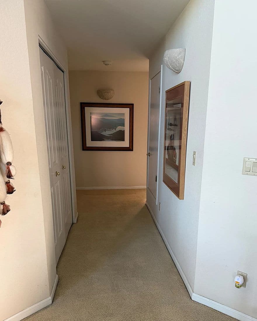 Hallway carpet, after cleaning