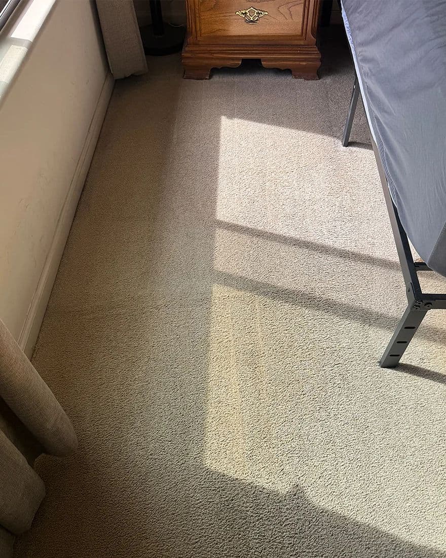 Carpet spots, after cleaning