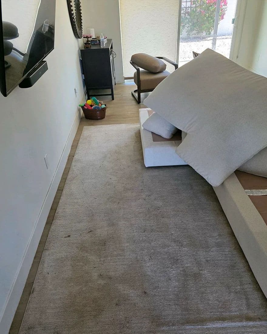 Living room rug, before cleaning